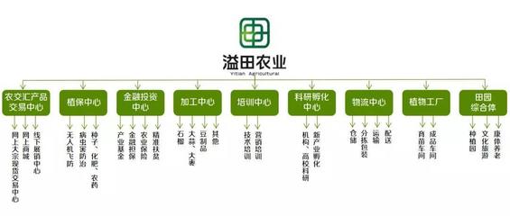 溢田農業 現代供應鏈管理與財務咨詢雙輪驅動的創新實踐